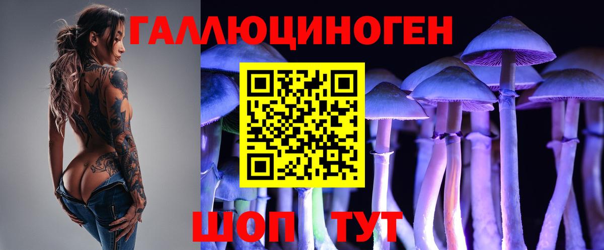 как найти наркотики  Галлюциногенные грибы прущие грибы  Вход с VPN  Галлюциногенные грибы Cubensis  Волгодонск 